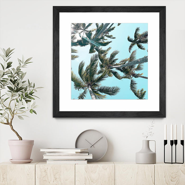 \"Palm 03\" Matted and Framed Black 30x30 Wall Art