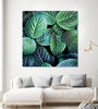 "Leaf Viii" Giant Art 54x54 Wall Art