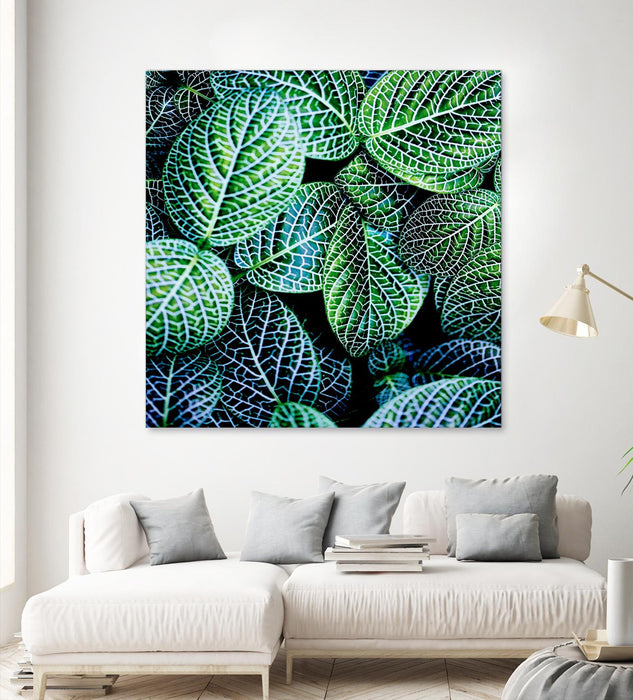 \"Leaf Viii\" Giant Art 54x54 Wall Art