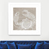 "Neutral Surf Side I" Matted and Framed White 36x36 Wall Art