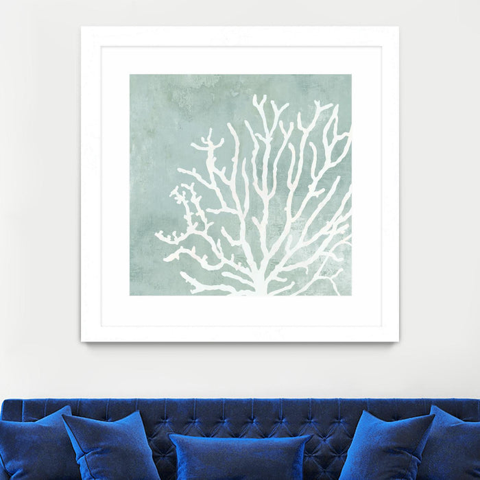 \"Sea Crown Ii\" Matted and Framed White 36x36 Wall Art