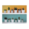 Canvas Wall Art Succulents - Set of 2 Wall Decor|Œuvre d’art murale sur toile représentant des plantes grasses - ensemble de 2 décorations murales