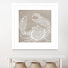 "Neutral Surf Side I" Matted and Framed White 36x36 Wall Art