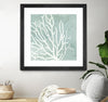 "Sea Crown I" Matted and Framed Black 30x30 Wall Art