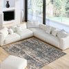 Dayna Blue, Grey Rug 3'11" X 5'11" Area Rug