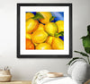 "Zest For Life" Matted and Framed Black 30x30 Wall Art