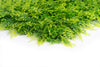 Artificial Mix Fern 20"x 20" Foliage Panel 4 Pieces 