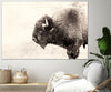 "Buffalo" Giant Art 84x54 Wall Art