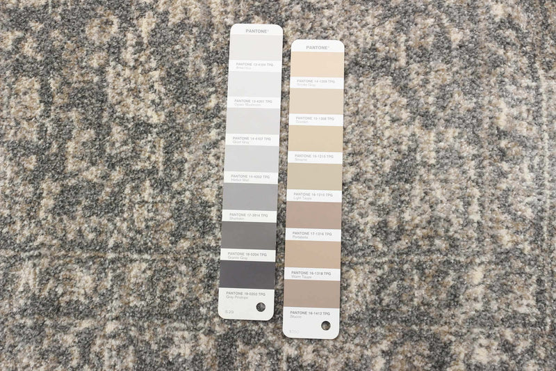 Ochoa Grey Area Rug - 6'7\" x 9'6\"