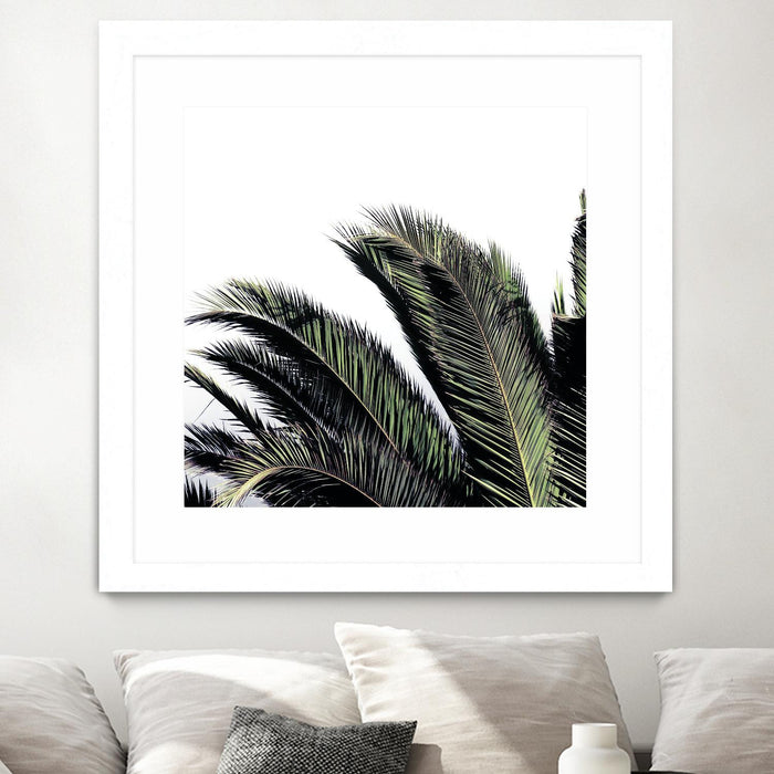 \"Cape Storm\" Matted and Framed White 30x30 Wall Art