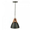 Tote 1-Light Black Pendant II 