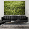 "Grass Ii" Giant Art 84x54 Wall Art