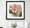 "Cropped Turpin Tropicals Vii" Matted and Framed Black 30x30 Wall Art