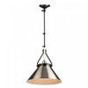 Brydon 1-Light Black Brushed Nickel Wall Sconce Pendant