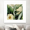 "Cropped Turpin Tropicals Iii" Matted and Framed White 36x36 Wall Art