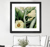 "Cropped Turpin Tropicals Iii" Matted and Framed Black 30x30 Wall Art
