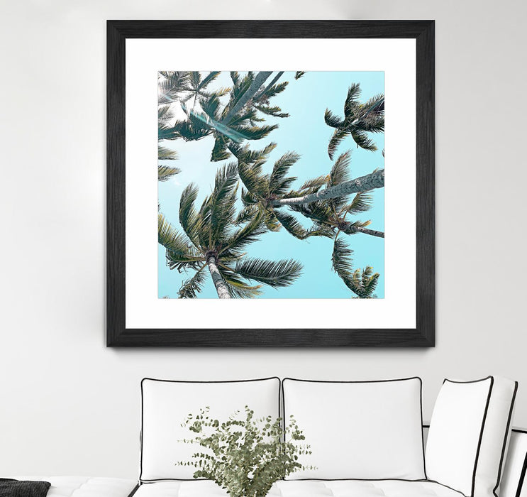 \"Palm 03\" Matted and Framed Black 30x30 Wall Art
