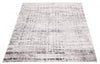 Trudel Grey Area Rug - 3'11" X 5'7" 