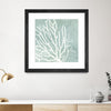 "Sea Crown I" Matted and Framed Black 30x30 Wall Art