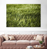 "Grass Ii" Giant Art 84x54 Wall Art