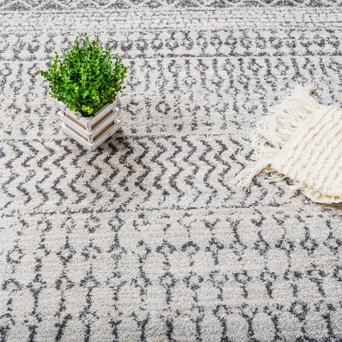 Roma Safi Grey 4x6 Area Rug