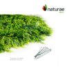 Artificial Mix Fern 20"x 20" Foliage Panel 4 Pieces 