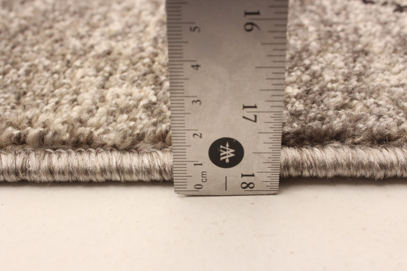 Grande Grey/Brown 3'11\" X 5'7\" Area Rug