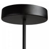 Equinox 30 W LED Black Pendant Light 