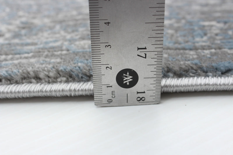 Dayna Blue, Grey Rug 3'11\" X 5'11\" Area Rug