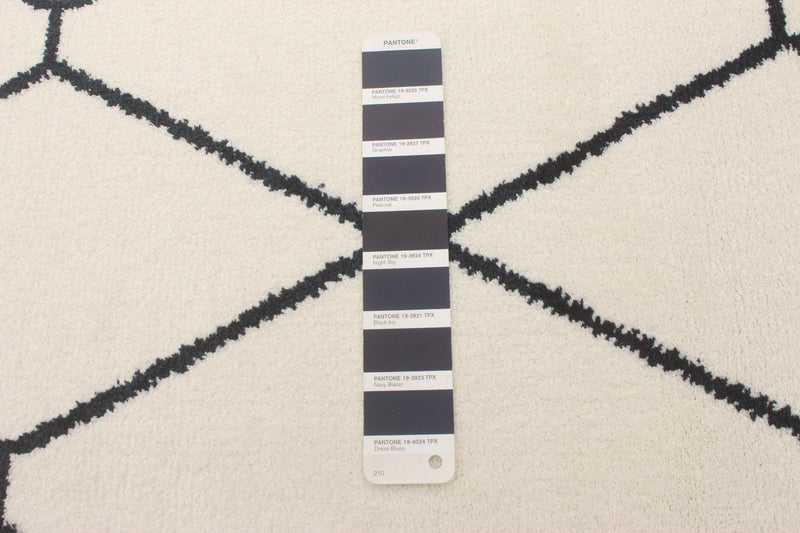 August White-Navy 7'10\" x 10'2\" Area Rug