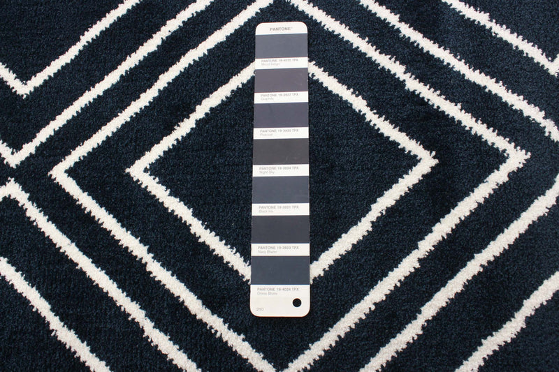 August Geod Navy-White 6'7\" x 9'6\" Area Rug