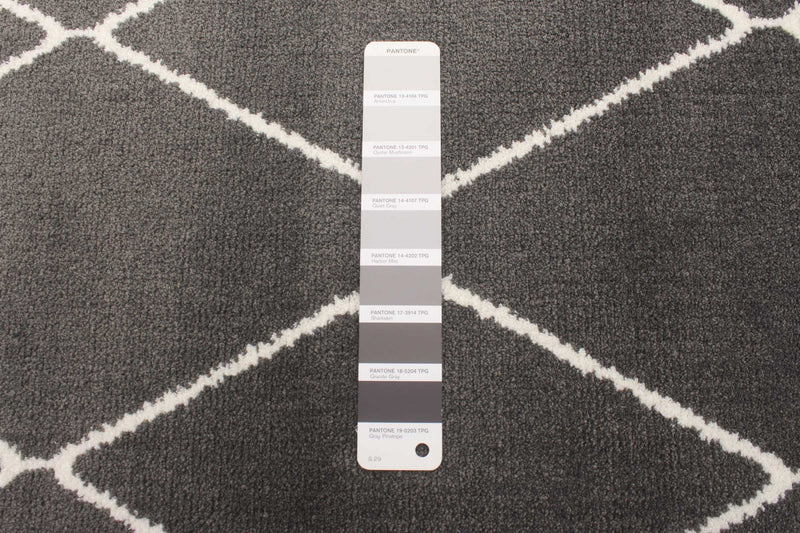 August Dark Grey-White 6'7\" x 9'6\" Area Rug