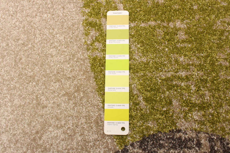 Ellegance Ivory / Green 6'7\" x 9'6\" Area Rug