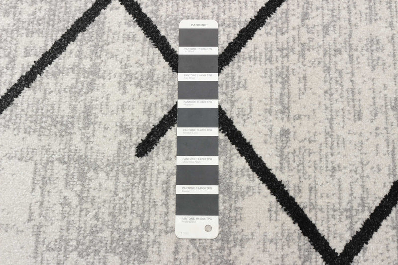 Damali Ivory/Black Machine Washable Area Rug - 2'6\" x 8'0\"