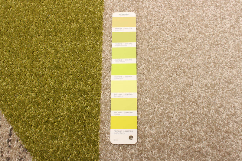 Hadley Grey / Green 6'7\" x 9'6\" Area Rug