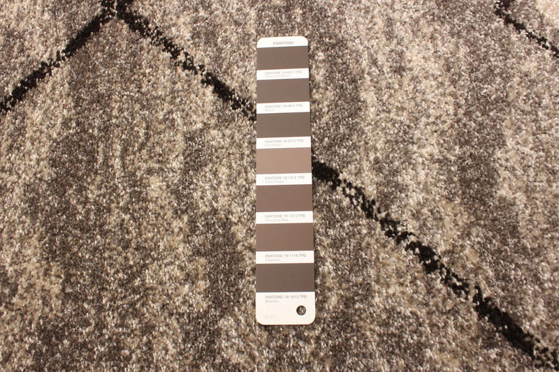 Grande Grey/Brown 3'11\" X 5'7\" Area Rug