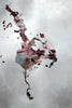 "Welcomed Disturbance Ii" Giant Art 72x48 Wall Art
