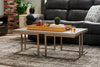 Jesse Coffee Table