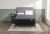 Springwall Queen Boxspring 
