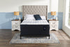 Serta Vanguard 2023 Queen Boxspring 