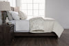 Indie Paisley 3-Piece King Comforter Set